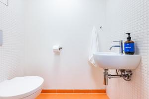 Prague Days - Loft with Garage and Workspace right next to Wenceslas Square