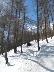 Hotels Le Relais des Ecrins : photos des chambres