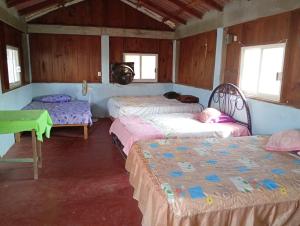 Habitaciones y cabañas Jessica
