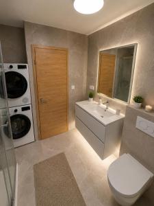The Nice Apartments near Ljubljana with parking