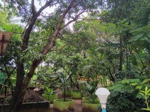 Hi Greenhouse Holiday Homestay