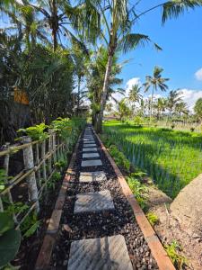 Golden paddy bamboo house -by sunrise hill