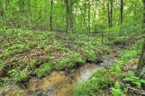 Stokes Haven Pet Friendly Hot Tub Creek