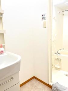 日本の下町新小岩デメテル202
