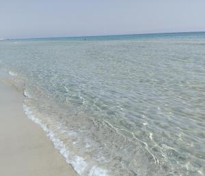 Cap zebib metline