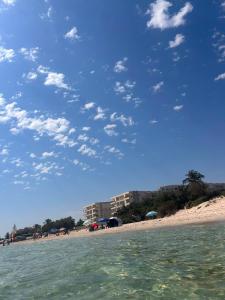 Cap zebib metline