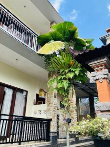 DoReMi Ubud Guest House
