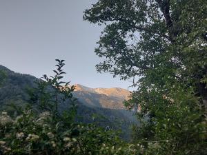 Počitniška hiša Pri Skuršenu