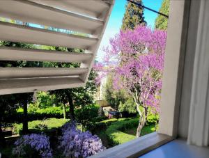 Villa Nardi - Residenza DEpoca