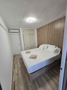 DANIEL Flat SWIMMING POOL BENIDORM LEVANTE