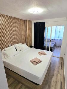 DANIEL Flat SWIMMING POOL BENIDORM LEVANTE