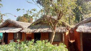 Bravo Agriculture Farmhouse