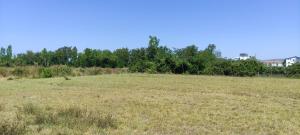 Field Stop Camp
