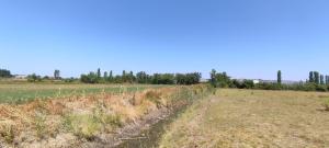 Field Stop Camp