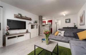 Apartment Nerina Premium