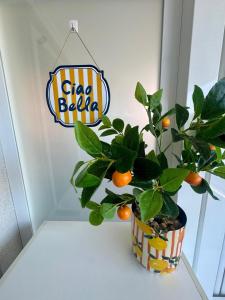 BeachfrontGrado City Apartment including free Beach Access & Parking