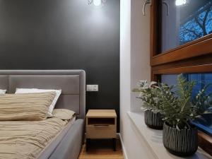 Apartament Nowoczesny