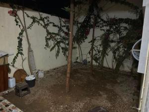 Deluxe Villa Foum Eloued