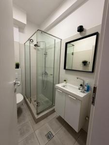 Nice apartment for up to 8 people