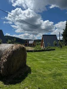 LA CABANE