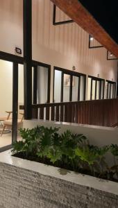 OPS Guesthouse