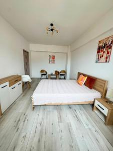 Lake Studio Valcea