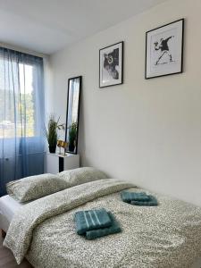 Metro Family Apartment 2 Bedrooms Seeps 6