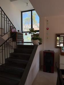 Bellavista Domus
