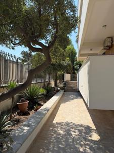 Bellavista Domus