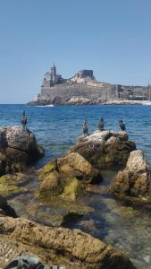 La finestra sul carugio