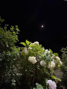 Domgjon Farm Stay