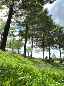 Green Ville Laguna Hotel