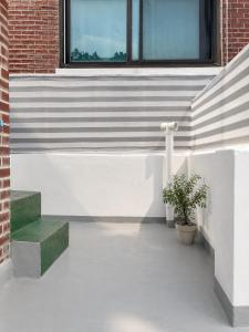 staygreen, sinjeong