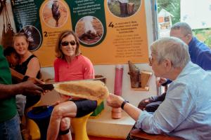 Anmut & Apiculture Museum