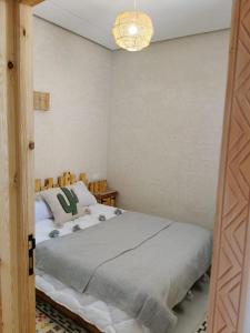 berber appartement