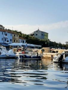 Apartments Valun