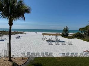 Siesta Royale 22