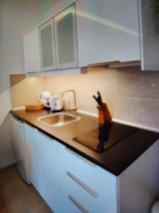 BlueStar Apt & Spa Zlatibor