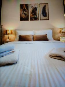 BlueStar Apt & Spa Zlatibor