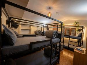 Trayama Backpackers Ooty