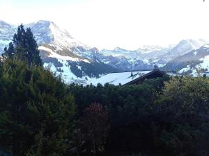 Skirennen von der Terrasse mitverfolgen
