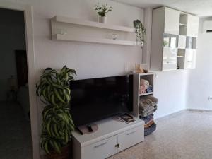 Apartament Olivo