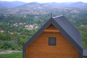 Wood house Dodic
