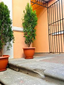Hospedaje San Camilo
