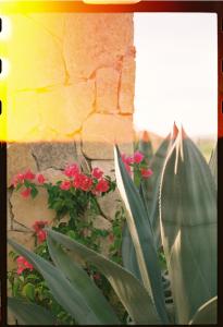 Acueducto - Curated Baja Stays & Luxury Vacation Home