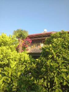 Villa Kola