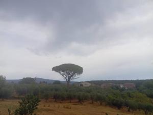 Cozy home in Tuscia, Vetralla, Rome