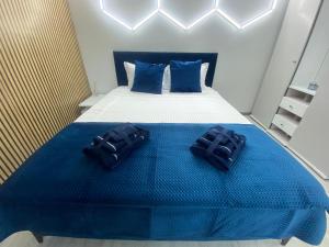 Apartament Alexandrov