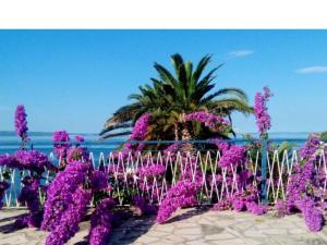 Apartments and Rooms Juradin - Classic One Bedroom Apartment with Terrace A7
