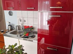 Villa Dube Slano Guest House - Superior One Bedroom Apartment with Sea View and Terrace